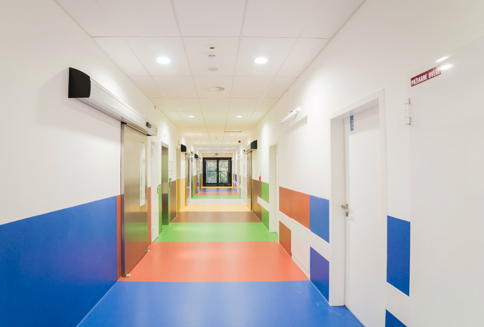 Fotografie dr-color_original.jpg