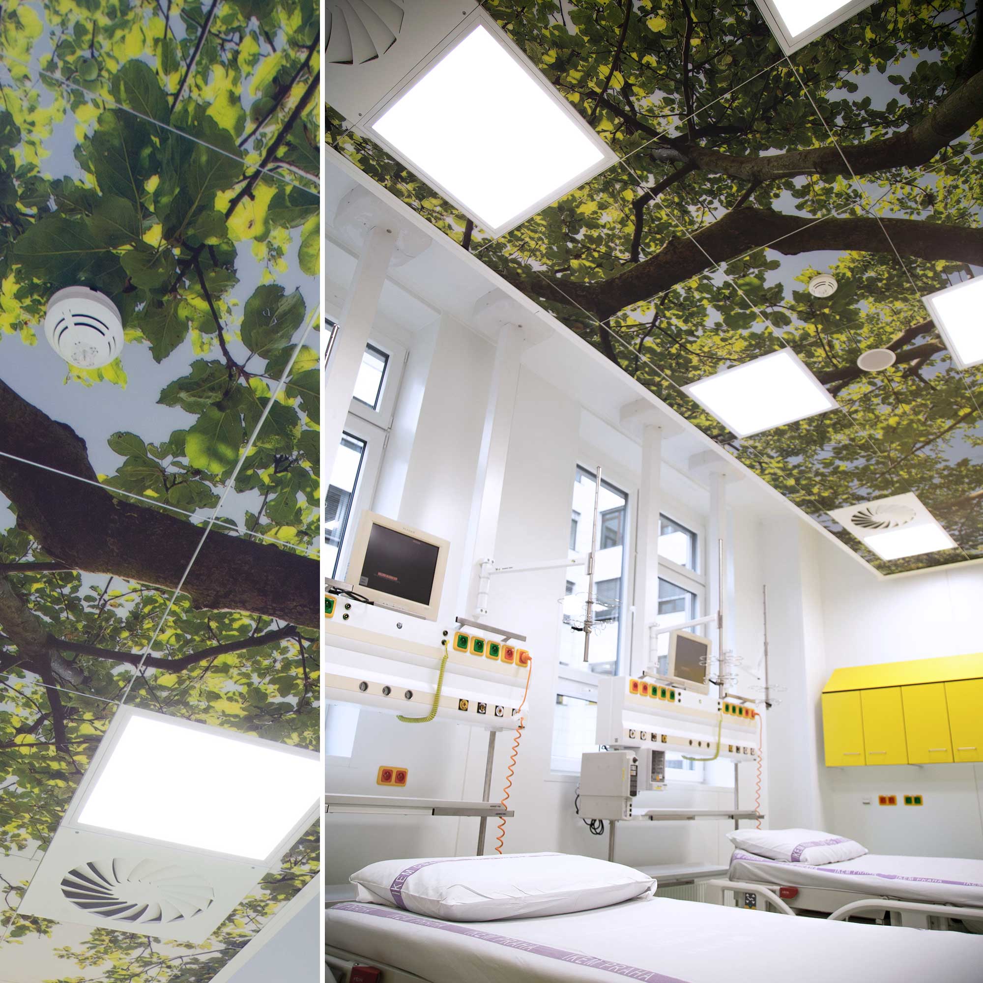 Fotografie graficky-panel-102-15-14_original.jpg